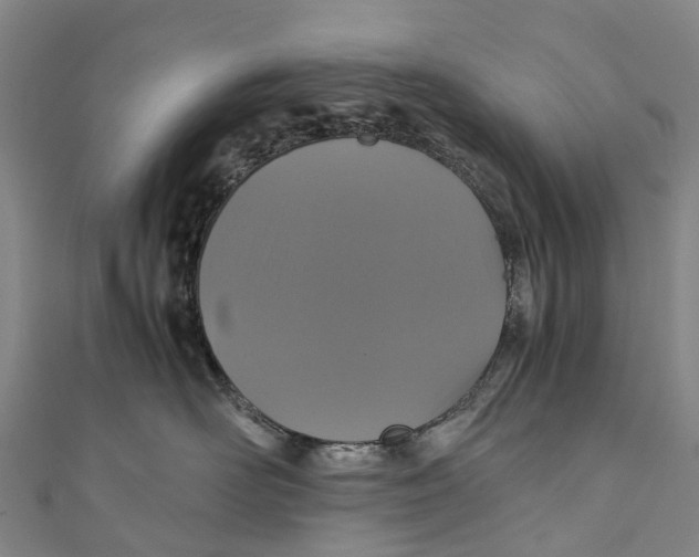X0000110990526200907101433
