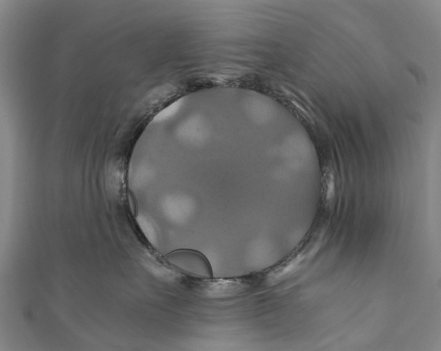 X0000110990527200907101433