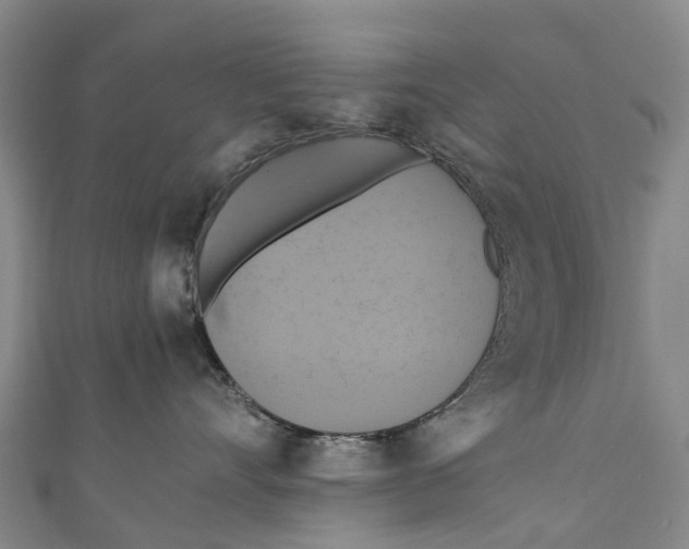 X0000110990528200907101433