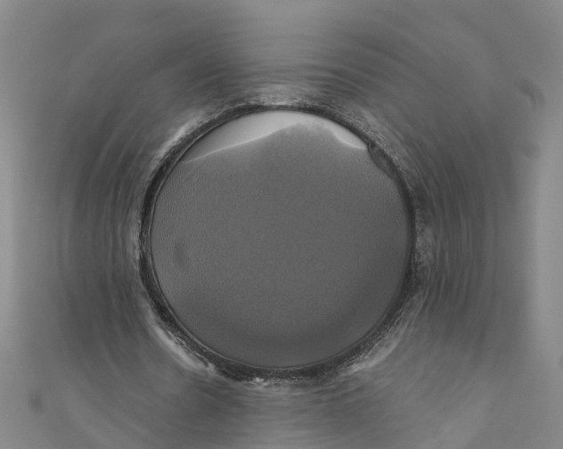 X0000110990530200907101433