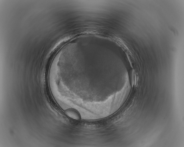 X0000110990531200907101433
