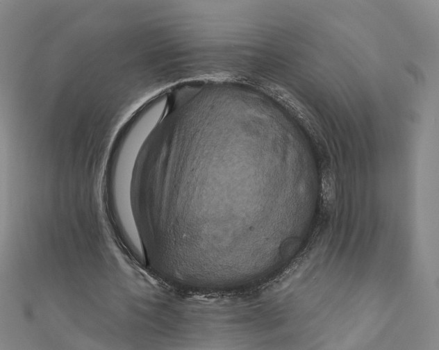 X0000110990532200907101433