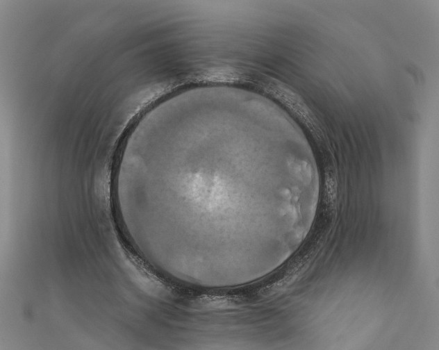 X0000110990534200907101433