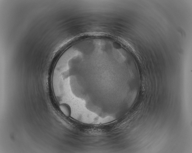 X0000110990535200907101433