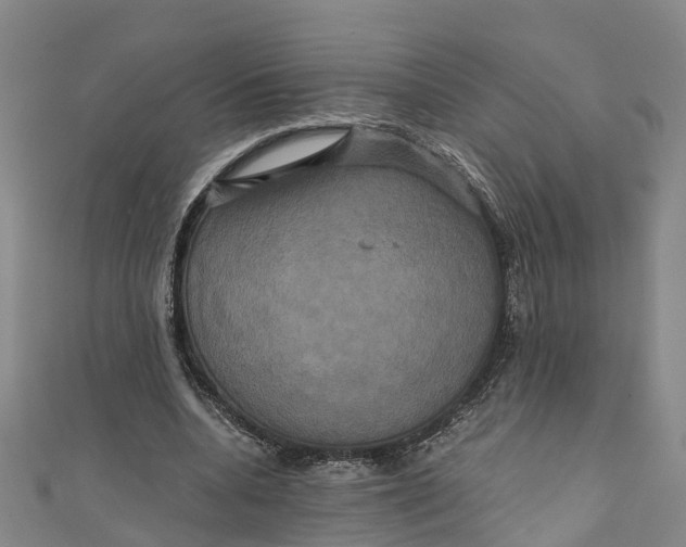 X0000110990536200907101433