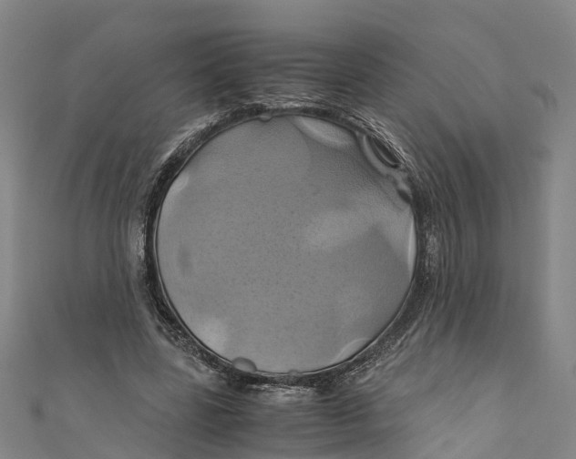 X0000110990539200907101433