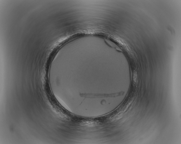 X0000110990540200907101433