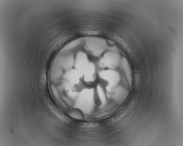 X0000110990541200907101433