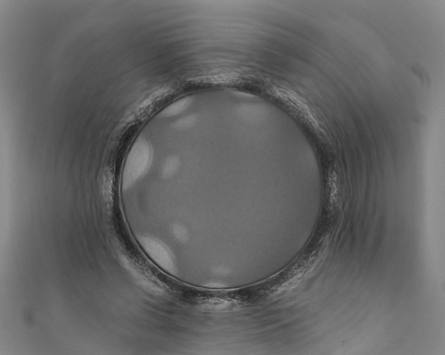 X0000110990542200907101433