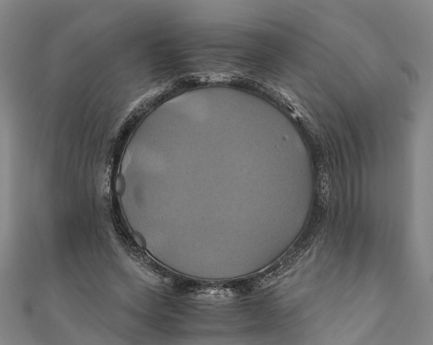 X0000110990543200907101433