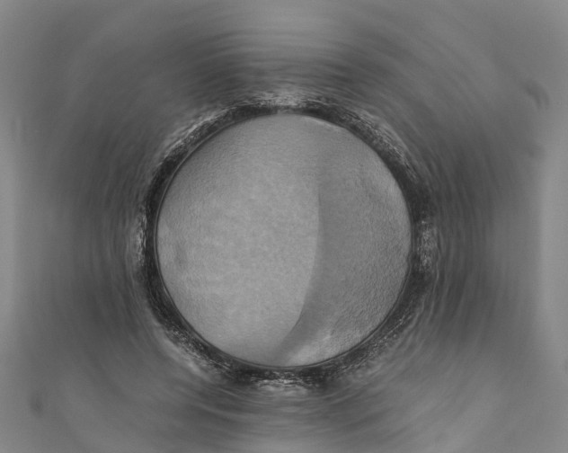 X0000110990544200907101433