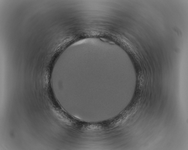 X0000110990546200907101433