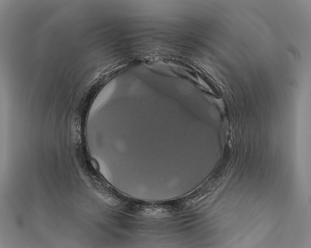 X0000110990547200907101433
