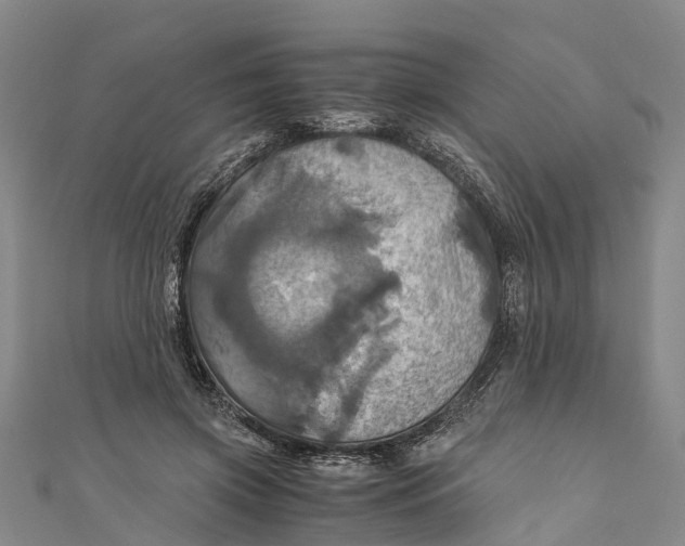 X0000110990549200907101433