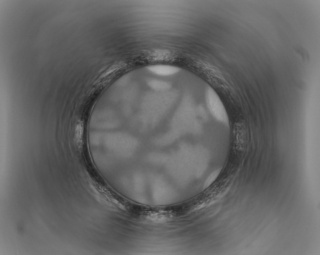 X0000110990550200907101433