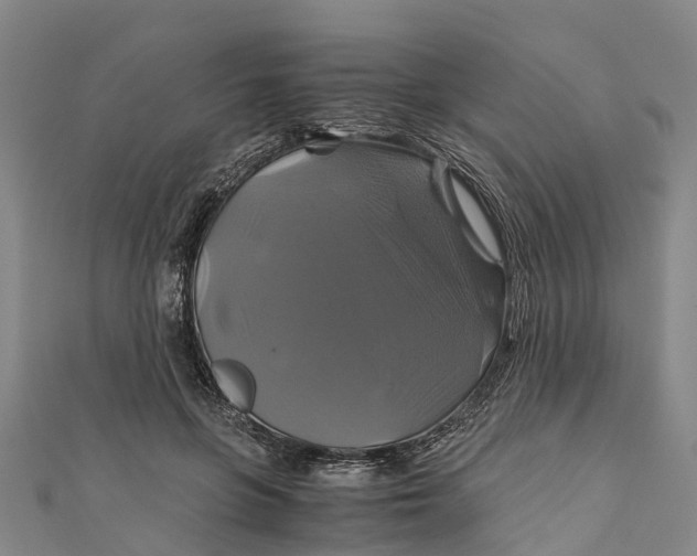 X0000110990551200907101433