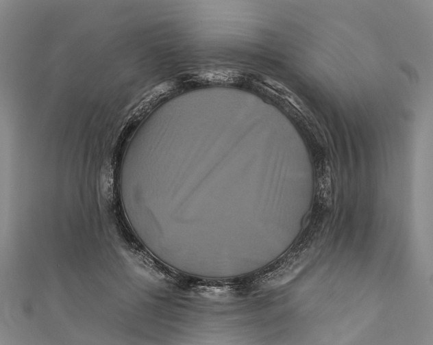 X0000110990552200907101433
