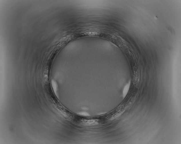 X0000110990553200907101433