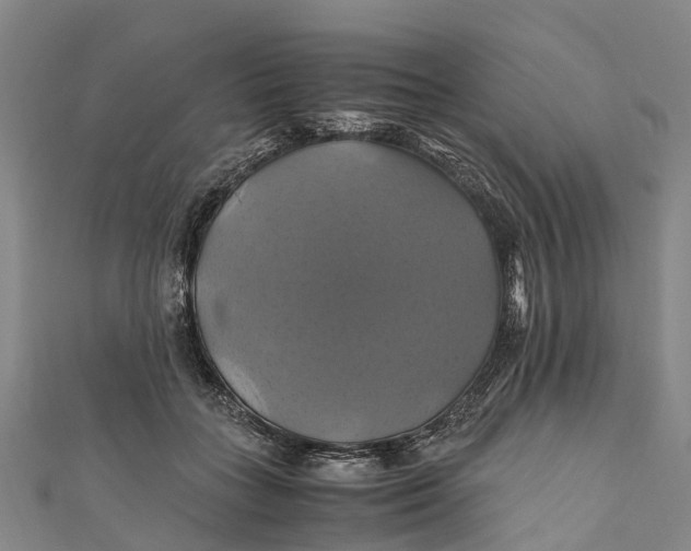 X0000110990555200907101433