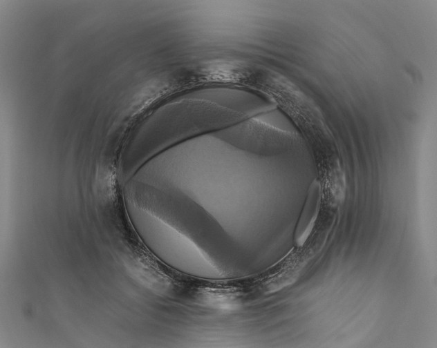 X0000110990556200907101433