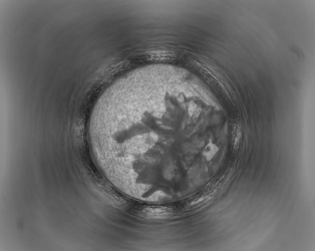 X0000110990557200907101433