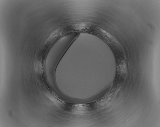 X0000110990558200907101433