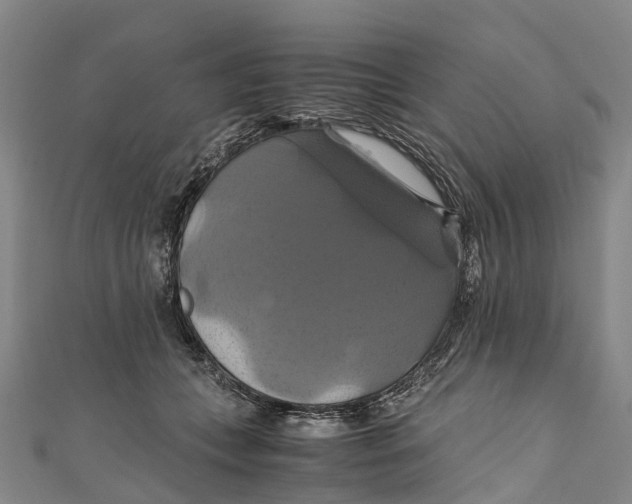 X0000110990559200907101433