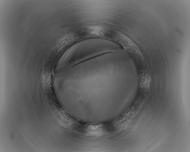 X0000110990560200907101433