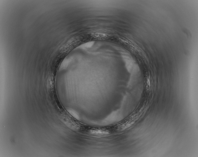 X0000110990561200907101433