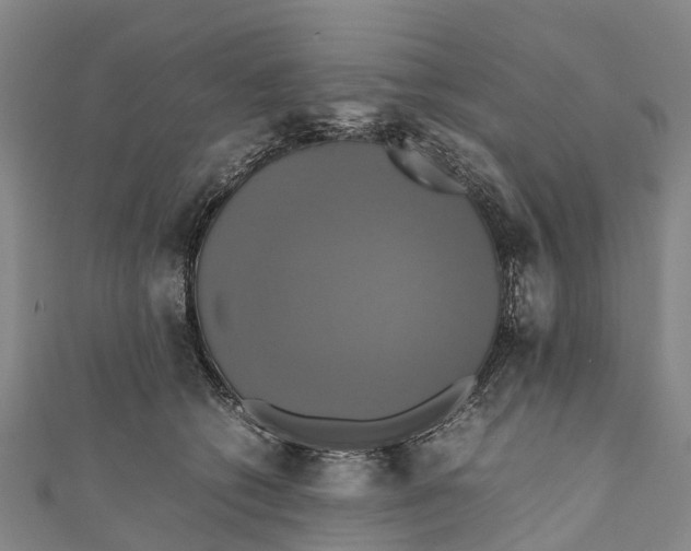 X0000110990562200907101433