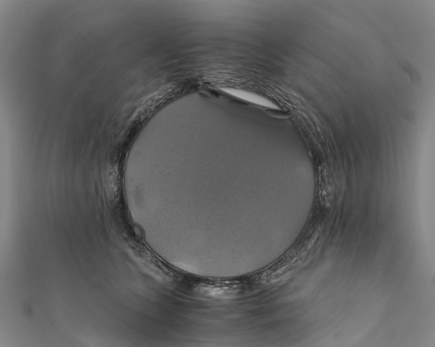 X0000110990563200907101433