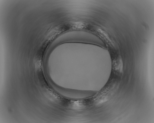 X0000110990564200907101433