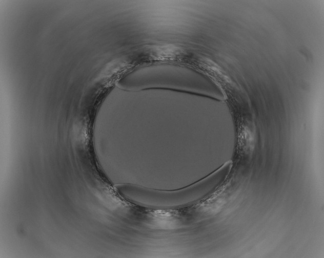 X0000110990566200907101433