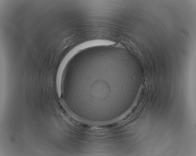 X0000110990568200907101433