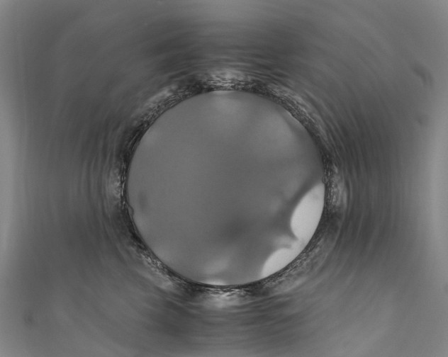 X0000110990569200907101433