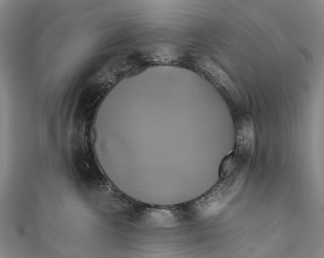 X0000110990572200907101433