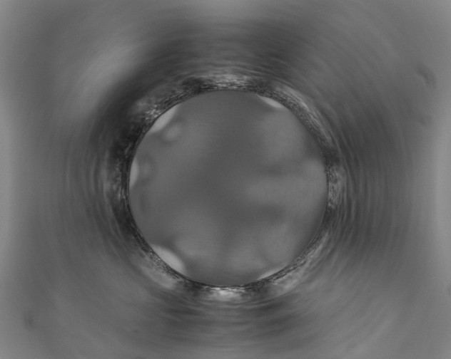 X0000110990573200907101433