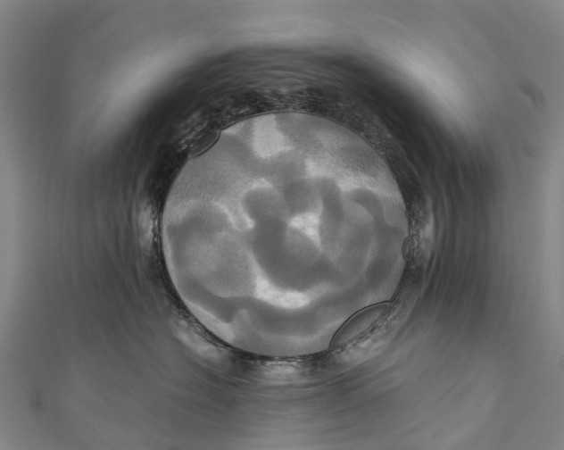 X0000110990574200907101433