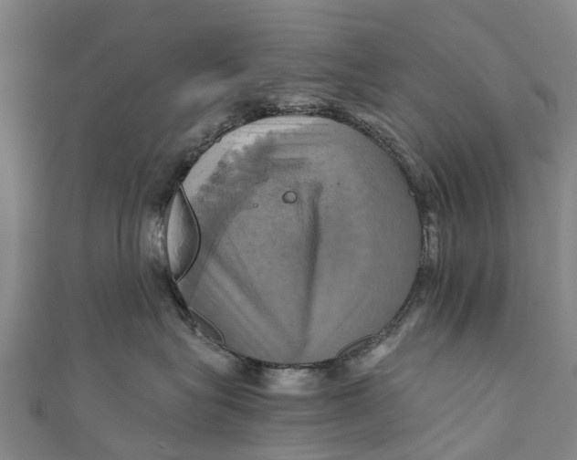 X0000110990575200907101433