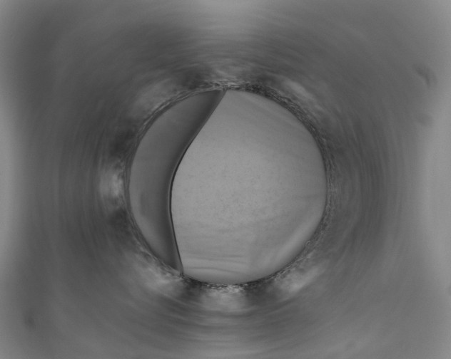 X0000110990576200907101433