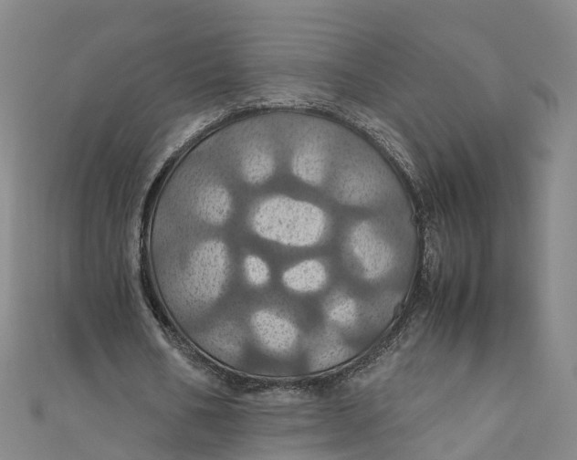 X0000110990578200907101432