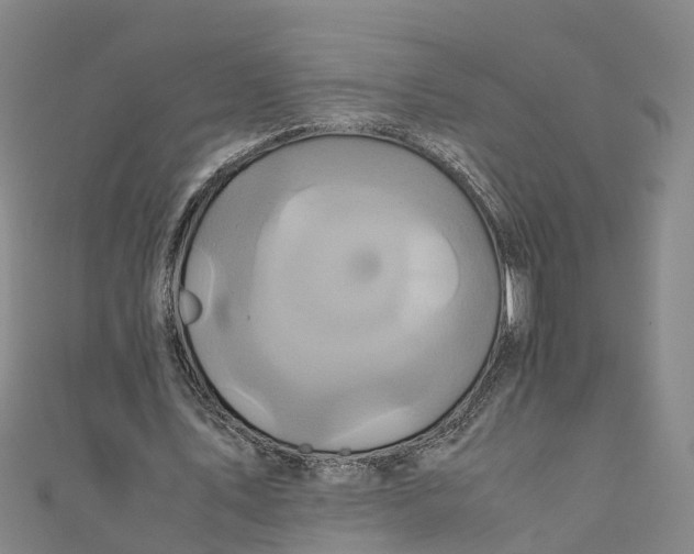 X0000110990579200907101432