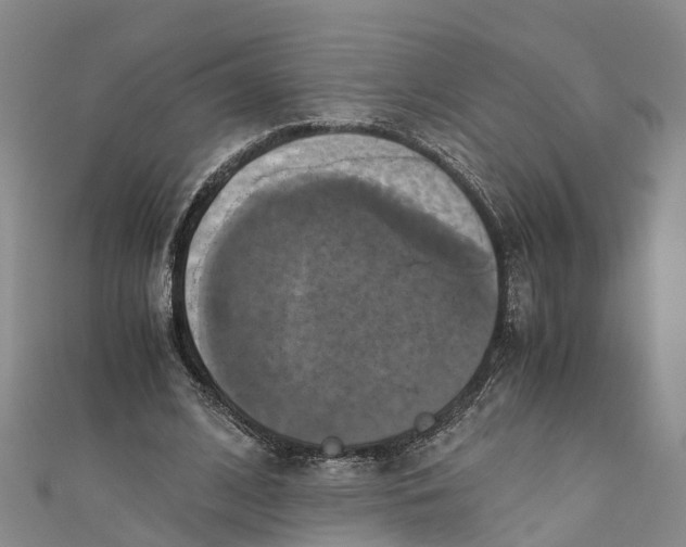X0000110990584200907101432