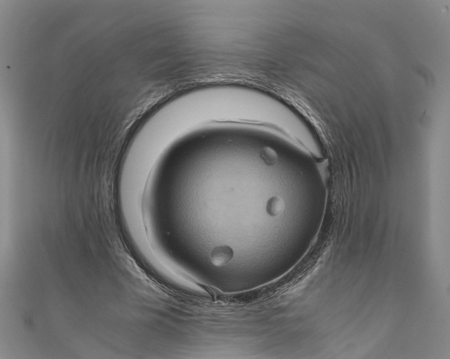 X0000110990585200907101432