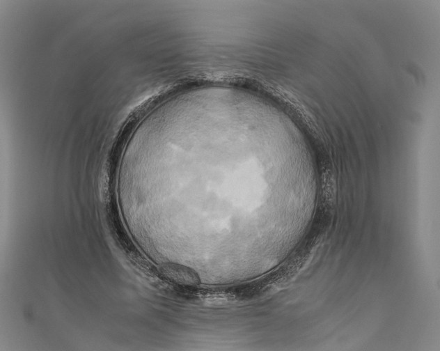 X0000110990587200907101432