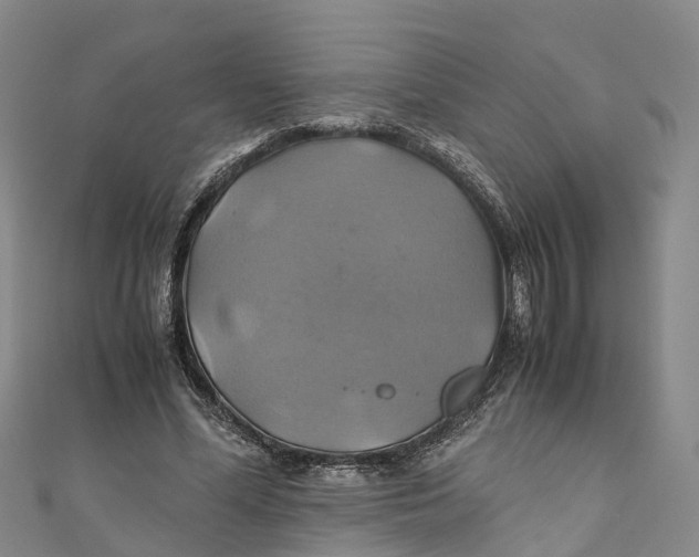 X0000110990588200907101432