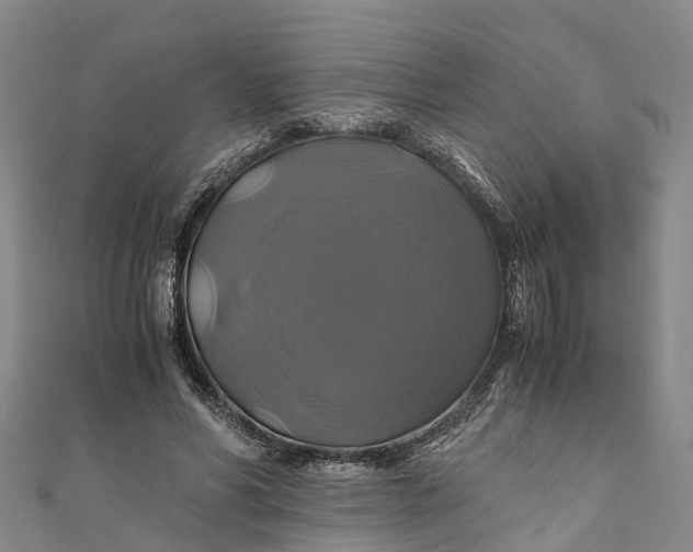 X0000110990590200907101432
