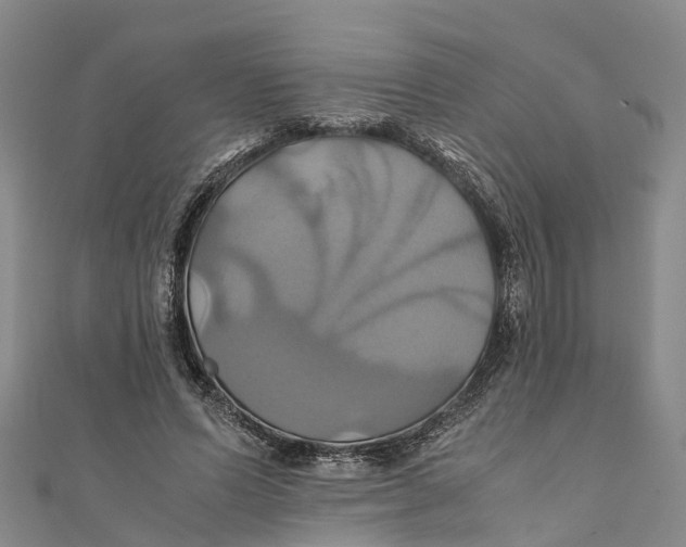 X0000110990591200907101432