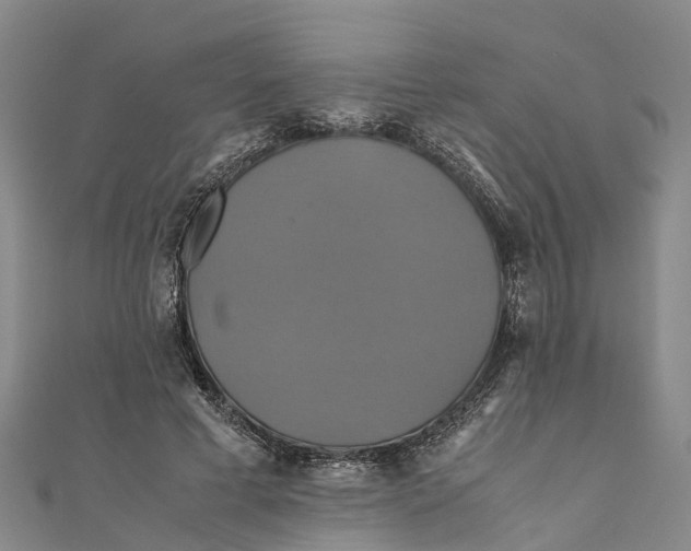 X0000110990593200907101432