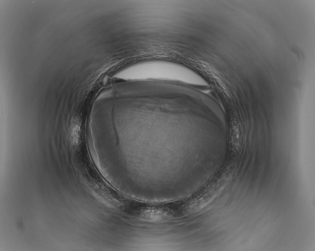 X0000110990596200907101432